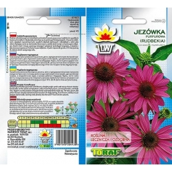 Nasiona Jeżówka purpurowa Tor354