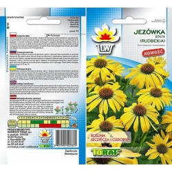 Nasiona Jeżówka żółta Tor355