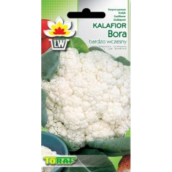 Nasiona Kalafior Bora wczesna Tor70