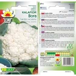Nasiona Kalafior Bora wczesna Tor70