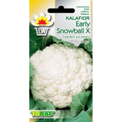 Nasiona Kalafior Early Snowball wczesna Tor71