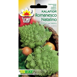 Nasiona Kalafior Romanesco piramidki Tor72