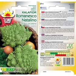 Nasiona Kalafior Romanesco piramidki Tor72