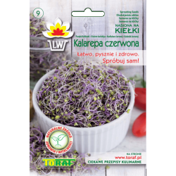 Nasiona na kiełki Kalarepa czerwona Tor534