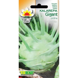 Nasiona Kalarepa Gigant póżna Tor75