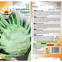 Nasiona Kalarepa Gigant póżna Tor75