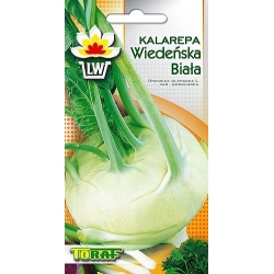 Pełna wartości odżywczych, smaczna i zdrowa kalarepa powinna znajdować się w naszej diecie. 