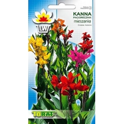 Nasiona Kanna, Paciorecznik Tor357