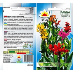 Nasiona Kanna, Paciorecznik Tor357