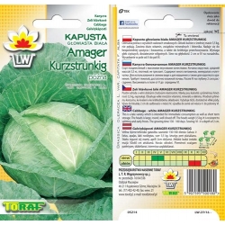 Nasiona Kapusta głowiasta biała Amager Tor81