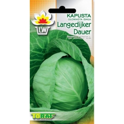 Nasiona Kapusta głowiasta biała Langenijker Tor79