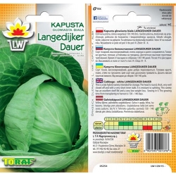 Nasiona Kapusta głowiasta biała Langenijker Tor79