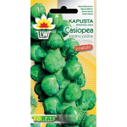 Nasiona Kapusta brukselka Casiopea Tor77