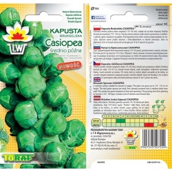 Nasiona Kapusta brukselka Casiopea Tor77