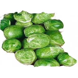 Nasiona Kapusta brukselka Groninger Tor78