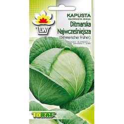 Nasiona Kapusta głowiasta biała Ditmarska Tor80