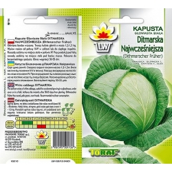 Nasiona Kapusta głowiasta biała Ditmarska Tor80