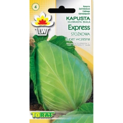 Nasiona Kapusta głowiasta biała Tor82