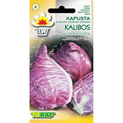 Nasiona Kapusta głowiasta czerwona Kalibos Tor85