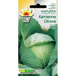 Nasiona Kapusta biała Kamienna Głowa Tor84