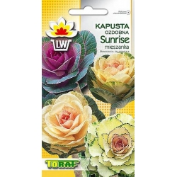 Nasiona Kapusta ozdobna łod. Sunrise Tor358
