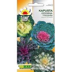 Nasiona Kapusta ozdobna Tor359