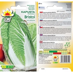 Nasiona Kapusta pekińska BRISTOL Tor88