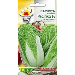 Nasiona Kapusta pekińska Pacifiko Tor89