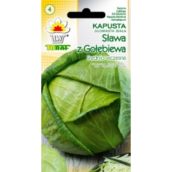 Nasiona Kapusta głowiasta biała Sława Tor83