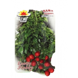 Nasiona Kawa arabska Tor617