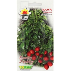 Nasiona Kawa arabska Tor617