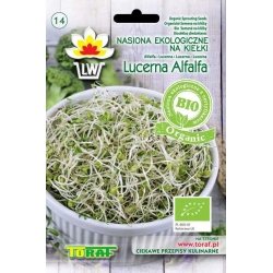 Nasiona Nasiona BIO na kiełki Lucerna Tor552