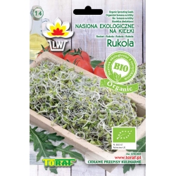 Nasiona Nasiona BIO na kiełki Rukola Tor553