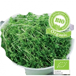 Nasiona Nasiona BIO na kiełki Rzeżucha Tor554