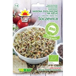 Nasiona Nasiona BIO na kiełki Soczewica Tor556