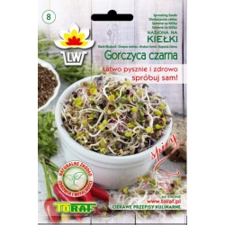 Nasiona na kiełki Gorczyca Czarna Tor533