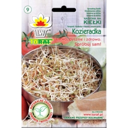 Nasiona na kiełki Kozieradka Tor536