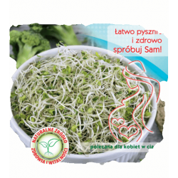  Nasiona na kiełki Lucerna Alfalfa Tor537