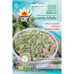  Nasiona na kiełki Lucerna Alfalfa Tor537