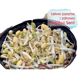 Nasiona na kiełki Mieszanka Łagodna Tor539