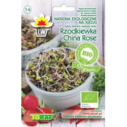 Nasiona na kiełki Rzodkiewka CHINA ROSE Tor545