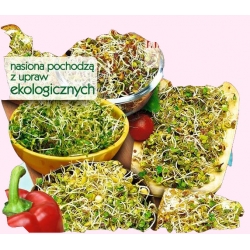 Nasiona na kiełki Mieszanka Pikantna Tor540