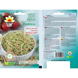 Nasiona na kiełki Pszenica Tor542