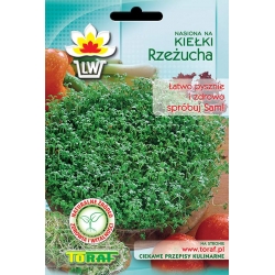  Nasiona na kiełki Rzeżucha Tor544