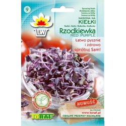 Nasiona na kiełki Rzodkiewka RED PURPLE Tor546