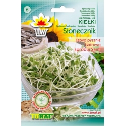 Nasiona na kiełki Słonecznik Tor547