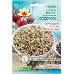 Nasiona na kiełki Soczewica Tor548