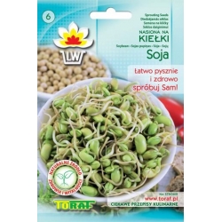 Nasiona na kiełki Soja Tor549