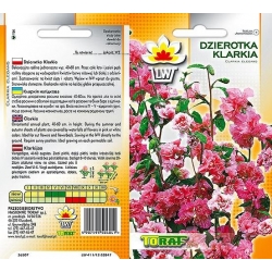 Nasiona Klarkia, Dzierotka Tor360