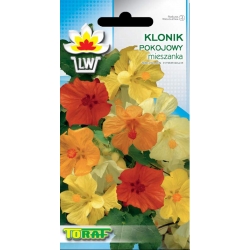 Nasiona Klonik pokojowy Tor361